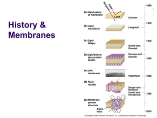 History &
Membranes
 