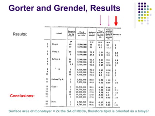 Gorter and Grendel, Results
Results:
Surface area of monolayer = 2x the SA of RBCs, therefore lipid is oriented as a bilayer
Conclusions:
 