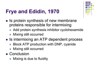 Frye and Edidin, 1970
 Is protein synthesis of new membrane
proteins responsible for intermixing
 Add protein synthesis inhibitor cyclohexamide
 Mixing still occurred
 Is intermixing an ATP dependent process
 Block ATP production with DNP, cyanide
 Mixing still occurred
 Conclusion
 Mixing is due to fluidity
 
