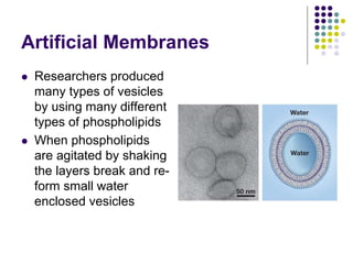 Evolution of Membrane Models
 Today cell membranes are characterized by
what is known as a fluid mosaic model
 Over 100 ...