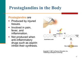 17
Prostaglandins in the Body
Prostaglandins are
 Produced by injured
tissues.
 Involved in pain,
fever, and
inflammation.
 Not produced when
anti-inflammatory
drugs such as aspirin
inhibit their synthesis.
Copyright © 2007 by Pearson Education, Inc.
Publishing as Benjamin Cummings
 