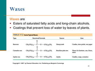 23
Waxes
Waxes are
 Esters of saturated fatty acids and long-chain alcohols.
 Coatings that prevent loss of water by leaves of plants.
TABLE 17.2
Copyright © 2007 by Pearson Education, Inc. Publishing as Benjamin Cummings
 