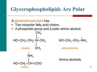 53
Glycerophospholipids Are Polar
A glycerophospholipid has
 Two nonpolar fatty acid chains.
 A phosphate group and a polar amino alcohol.
CH3
│+ +
HO−CH2−CH2−N−CH3 HO−CH2−CH2−NH3
│
choline CH3 ethanolamine
+
NH3
│ Amino alcohols
HO−CH2−CH−COO−
serine
 