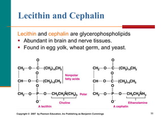 55
Lecithin and cephalin are glycerophospholipids
 Abundant in brain and nerve tissues.
 Found in egg yolk, wheat germ, and yeast.
Lecithin and Cephalin
Copyright © 2007 by Pearson Education, Inc Publishing as Benjamin Cummings
 