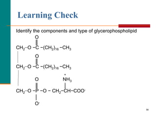 58
Learning Check
Identify the components and type of glycerophospholipid
O
║
CH2−O −C −(CH2)16 −CH3
O
║
CH2−O −C −(CH2)16 −CH3
+
O NH3
║ │
CH2−O −P −O − CH2−CH−COO-
│
O-
 