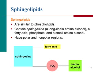 61
Sphingolipids
Sphingolipids
 Are similar to phospholipids.
 Contain sphingosine (a long-chain amino alcohol), a
fatty acid, phosphate, and a small amino alcohol.
 Have polar and nonpolar regions.
sphingosine
PO4
amino
alcohol
fatty acid
 