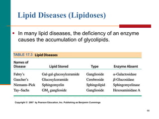 68
Lipid Diseases (Lipidoses)
 In many lipid diseases, the deficiency of an enzyme
causes the accumulation of glycolipids.
Copyright © 2007 by Pearson Education, Inc. Publishing as Benjamin Cummings
TABLE 17.3
 