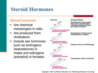 83
Steroid Hormones
Steroid hormones
 Are chemical
messengers in cells.
 Are produced from
cholesterol.
 Include sex hormones
such as androgens
(testosterone) in
males and estrogens
(estradiol) in females.
Copyright © 2007 by Pearson Education, Inc. Publishing as Benjamin Cummings
 