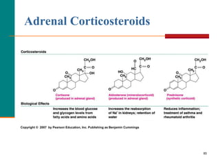 85
Adrenal Corticosteroids
Copyright © 2007 by Pearson Education, Inc. Publishing as Benjamin Cummings
 