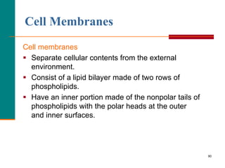 90
Cell Membranes
Cell membranes
 Separate cellular contents from the external
environment.
 Consist of a lipid bilayer made of two rows of
phospholipids.
 Have an inner portion made of the nonpolar tails of
phospholipids with the polar heads at the outer
and inner surfaces.
 