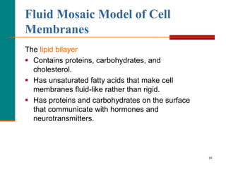 91
Fluid Mosaic Model of Cell
Membranes
The lipid bilayer
 Contains proteins, carbohydrates, and
cholesterol.
 Has unsaturated fatty acids that make cell
membranes fluid-like rather than rigid.
 Has proteins and carbohydrates on the surface
that communicate with hormones and
neurotransmitters.
 