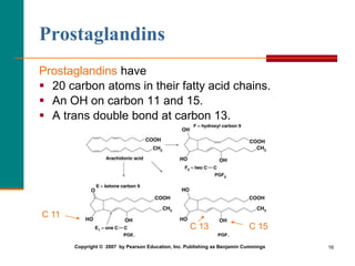 16
Prostaglandins
Prostaglandins have
 20 carbon atoms in their fatty acid chains.
 An OH on carbon 11 and 15.
 A trans...