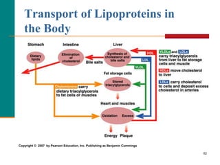 82
Transport of Lipoproteins in
the Body
Copyright © 2007 by Pearson Education, Inc. Publishing as Benjamin Cummings
 