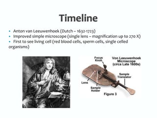 TimelineAnton van Leeuwenhoek (Dutch – 1632-1723)Improved simple microscope (single lens – magnification up to 270 X)First to see living cell (red blood cells, sperm cells, single celled organisms)