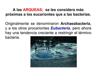 A las  ARQUEAS;  se les considera más próximas a los eucariontes que a las bacterias. Originalmente se denominaron  Archaeabacteria , y a los otros procariontes  Eubacteria , pero ahora hay una tendencia creciente a restringir el término bacteria. 