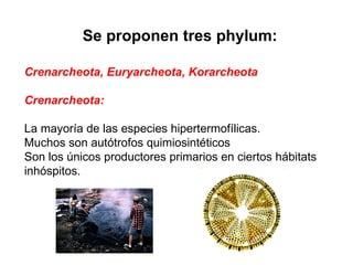 Se proponen tres phylum: Crenarcheota, Euryarcheota, Korarcheota Crenarcheota: La mayoría de las especies hipertermofílicas.  Muchos son autótrofos quimiosintéticos Son los únicos productores primarios en ciertos hábitats inhóspitos. 