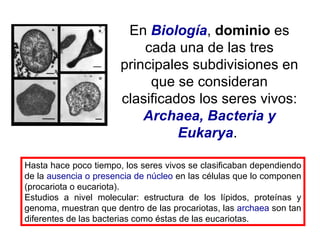 En  Biología ,  dominio  es cada una de las tres principales subdivisiones en que se consideran clasificados los seres vivos:  Archaea, Bacteria y Eukarya .  Hasta hace poco tiempo, los seres vivos se clasificaban dependiendo de la  ausencia o presencia de núcleo  en las células que lo componen (procariota o eucariota). Estudios a nivel molecular: estructura de los lípidos, proteínas y genoma, muestran que dentro de las procariotas, las  archaea  son tan diferentes de las bacterias como éstas de las eucariotas.  