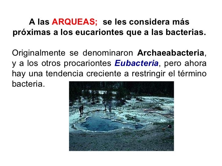 2.1 2.2 arqueas