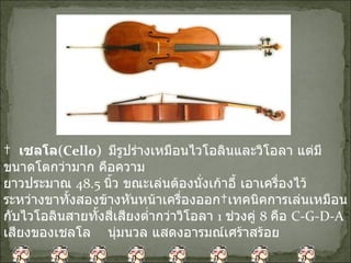      เชลโล ( Cello)    มีรูปร่างเหมือนไวโอลินและวิโอลา แต่มีขนาดโตกว่ามาก คือความ ยาวประมาณ  48.5  นิ้ว ขณะเล่นต้องนั่งเก้าอี้ เอาเครื่องไว้ระหว่างขาทั้งสองข้างหันหน้าเครื่องออก เทคนิคการเล่นเหมือนกับไวโอลินสายทั้งสี่เสียงต่ำกว่าวิโอลา  1  ช่วงคู่  8  คือ  C-G-D-A  เสียงของเชลโล  นุ่มนวล แสดงอารมณ์เศร้าสร้อย 