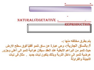 -            -


                          -
NaturalVegetative -            -
                      Reproduction
 