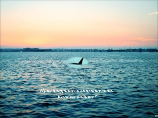 презентация2