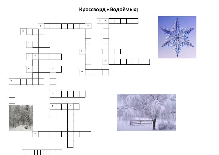 Автомобильная река кроссворд 5