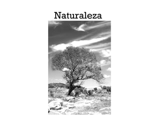 Naturaleza
 