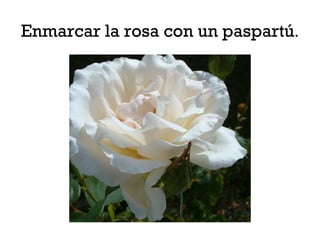 Enmarcar la rosa con un paspartú.
 