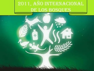 2011, AÑO INTERNACIONAL
    DE LOS BOSQUES
 