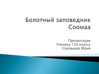 Презентация
Ученика 12А класса
   Соловьева Юрия
 