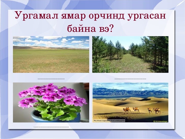 ургамал ургах орчин 2