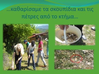 …κακαρίςαμε τα ςκουπίδια και τισ
    πζτρεσ από το κτιμα…
 