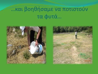 …και βοθκιςαμε να ποτιςτοφν
         τα φυτά…
 
