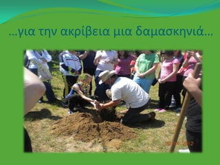 …για τθν ακρίβεια μια δαμαςκθνιά…
 