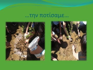 …τθν ποτίςαμε…
 