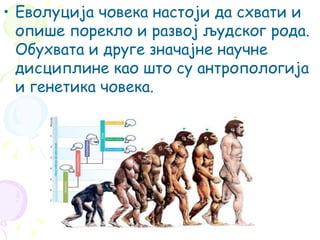 Еволуција човека | PPT