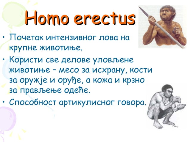 Еволуција човека | PPT