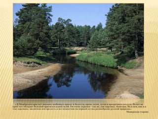 « В Мещѐрском крае нет никаких особенных красот и богатств, кроме лесов, лугов и прозрачного воздуха. Но все же
край этот обладает большой притягательной силой. Он очень скромен - так же, как картины Левитана. Но в нем, как и в
этих картинах, заключена вся прелесть и все незаметное на первый взгляд разнообразие русской природы».
                                                                                                  Мещерская сторона
 