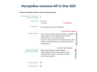 Настройка плагина All in One SEO
 