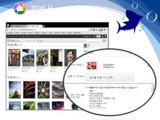 피카사 - 이미지검색
 