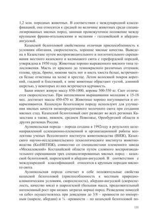 1,2 млн. породных животных. В соответствии с международной класси-
фикацией, она относится к средней по величине животных среди специа-
лизированных мясных пород, занимая промежуточное положение между
крупными франко-итальянскими и мелкими - галловейской и абердин-
ангусской.
    Казахской белоголовой свойственны отличная приспособленность к
условиям обитания, скороспелость, хорошие мясные качества. Выведе-
на в Казахстане путем воспроизводительного и поглотительного скрещи-
вания местного казахского и калмыцкого скота с герефордской породой,
утверждена в 1950 году. Животные хорошо выраженного мясного типа те-
лосложения. Масть от красного до темнокрасного различных оттенков;
голова, грудь, брюхо, нижняя часть ног и кисть хвоста белые, встречают-
ся белые отметины на холке и крестце. Летом волосяной покров корот-
кий, гладкий и блестящий, к зиме животные обрастают густой, длинной
шерстью, у некоторых из них встречается курчавость.
    Быки имеют живую массу 850-1000, коровы 500-550 кг. Скот отлича-
ется скороспелостью. При интенсивном выращивании молодняк к 15-18
мес. достигает массы 450-470 кг. Животные хорошо нагуливаются и от-
кармливаются. Казахскую белоголовую породу используют для улучше-
ния мясных качеств низкопродуктивного молочного скота при создании
мясных стад. Казахский белоголовый скот разводят во всех регионах Ка-
захстана а также, нижнем, среднем Поволжье, Оренбургской области и
других регионах России.
    Аулиекольская порода – порода создана в 1992году в результате целе-
направленной селекционно-племенной и организационной работы кол-
лектива ученых Всесоюзного института животноводства (ВИЖ), Казах-
ского научно-исследовательского технологического института животно-
водства (КазНИТИЖ), совместно со специалистами племенного завода
«Москалевский» Костанайской области путем сложного воспроизводи-
тельного скрещивания трех специализированных мясных пород – казах-
ской белоголовой, шаролезской и абердин-ангусской. В соответствии с
международной классификацией относится к крупным породам мясно-
го скота.
    Аулиекольская порода сочетает в себе положительные свойства
казахской белоголовой (приспособленность к местным природно-
климатическим условиям, скороспелость), абердин-ангусской (скороспе-
лость, качество мяса) и шаролезской (большая масса, продолжительный
интенсивный рост при низких затратах корма) пород. Разведение помесей
«в себе» осуществлялось при доведении до 3/8 – кровности по импорт-
ным (шароле, абердин) и ¼ –кровности – по казахской белоголовой по-

                                                                    131
 