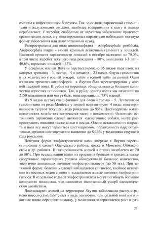 имчивы к инфекционным болезням. Так, молодняк, зараженный гельмин-
тами и желудочными оводами, наиболее восприимчив к мыту и тяжело
переболевает. У жеребят, свободных от паразитов заболевание протекает
сравнительно легко, а у инвазированных паразитами наблюдали тяжелую
форму заболевания или даже летальный исход.
   Распространены два вида аноплоцефалид – Anoplocephala perfoliata,
Anoplocephala magna - самый крупный ленточный гельминт у лошадей.
Высокий процент зараженности лошадей в октябре выявлено до 70,0%,
в том числе жеребят текущего года рождения – 80%, молодняка 1-3 лет –
40,6%, взрослых лошадей – 45%.
   У северных оленей Якутии зарегистрировано 35 видов паразитов, из
которых трематод – 3, цестод – 9 и нематод – 23 видов. Фауна гельминтов
и их количество у оленей тундры, тайги и горной тайги различны. Одни
из видов трематод котилофорон в Якутии был зарегистрирован у оле-
ней таежной зоны. В рубце на ворсинках обнаруживается большое коли-
чество взрослых гельминтов. Так, в рубце одного оленя мы находили по
2150 гельминтов или могут быть инвазированы до 75% оленей.
   Из 9 видов цестод специфичный для оленей только – 5. Ленточными
гельминтами из рода Moniezia у оленей паразитируют 4 вида, инвазиро-
ванность тугутов текущего года рождения до 95%. Цистицеркозы в оле-
неводческих хозяйствах встречается часто и повсеместно. Основным ис-
точником заражения оленей являются оленегонные собаки, могут рас-
пространять инвазию также волки и песцы. Олени независимо от возрас-
та и пола все могут заразиться цистицеркозом, пораженность паренхима-
тозных органов цистицеркозом выявлено до 84,6% у молодняка текущего
года рождения.
   Легочная форма элафостронгилеза нами впервые в Якутии зареги-
стрирована у оленей Оленекского района, позже в Момском, Оймякон-
ском и др. районах. Инвазированность оленей в стадах колеблется от 20
до 80%. При исследовании слизи из просветов бронхов и трахеи, а также
содержимое паразитарных узелков обнаруживали большое количество,
энергично двигающих личинок элофостронгилюсов (до 30 экз.). При за-
тяжной форме болезни у оленей наблюдается слизистое, гнойное истече-
ние из носовых ходов с ними и выделяются живые личинки элофострон-
гилюса. В отдельные годы от элафостронгилеза могут погибнуть большое
количество молодняка, что наносится значительный ущерб оленеводче-
ским хозяйствам.
   Диктиокаулез оленей на территории Якутии заболевание распростра-
нено повсеместно, протекает в виде эпизоотии, при сильной инвазии жи-
вотные плохо переносят зимовку, у молодняка задерживается рост и раз-

                                                                    231
 