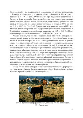 (контрольный) – по классической технологии, т.е. коровы содержались
с бычками и тёлочками; II – коровы только с бычками и III – коровы с
тёлками (n = 130–135 гол.). Отмечено, что при раздельном содержании и
бычки, и тёлки вели себя более спокойно, чем при совместном выращи-
вании. В итоге средняя живая масса тёлок, выращенных раздельно, при
отъёме от комолых и рогатых коров составила в среднем 207,0 кг, или
на 21,1 кг (11,3 %, Р1 < 0,05) больше, чем в разнополом гурте (185,9 кг).
Бычки и тёлки при раздельном содержании превосходили сверстников в
7-месячном возрасте по живой массе в среднем на 12,5 кг (6,3 %). В де-
нежном выражении это составило 875 руб./гол./год (2010 г.).
   Анализ показал, что как при рождении, так и при отъёме от коров раз-
ницы в живой массе и показателях промеров у телят, рождённых от ко-
молых и рогатых матерей, не было. Также установлено, что по выражен-
ности типа телосложения 8-месячный молодняк соответствовал высшему
классу и получил 10 баллов (по инструкции 2010 г.). С возрастом индекс
длинноногости телят закономерно уменьшился, а индексы растянутости,
массивности, сбитости, широкотелости и типичности внутрипородного
типа телосложения возросли, т.е. широтные промеры изменились более
существенно, чем высотные. В итоге животные приобретали эйрисомный
(мясной) тип. Следовательно, раздельный способ выращивания бычков и
тёлок в период подсоса является наиболее эффективным по сравнению с
совместным, общепринятым в мясном скотоводстве без выраженной раз-
ницы между комолыми и рогатыми коровами.
   После отъёма телят от коров часть бычков кастрировали. Сформирова-
ли три группы: бычков, бычков-кастратов и тёлок. В каждой группе были
комолые и рогатые особи по 10 голов (рис. 1).




       Рис.1. Тёлочки герефордской породы после отъёма от матерей.
                           ПЗ «Садовское»

                                                                       55
 