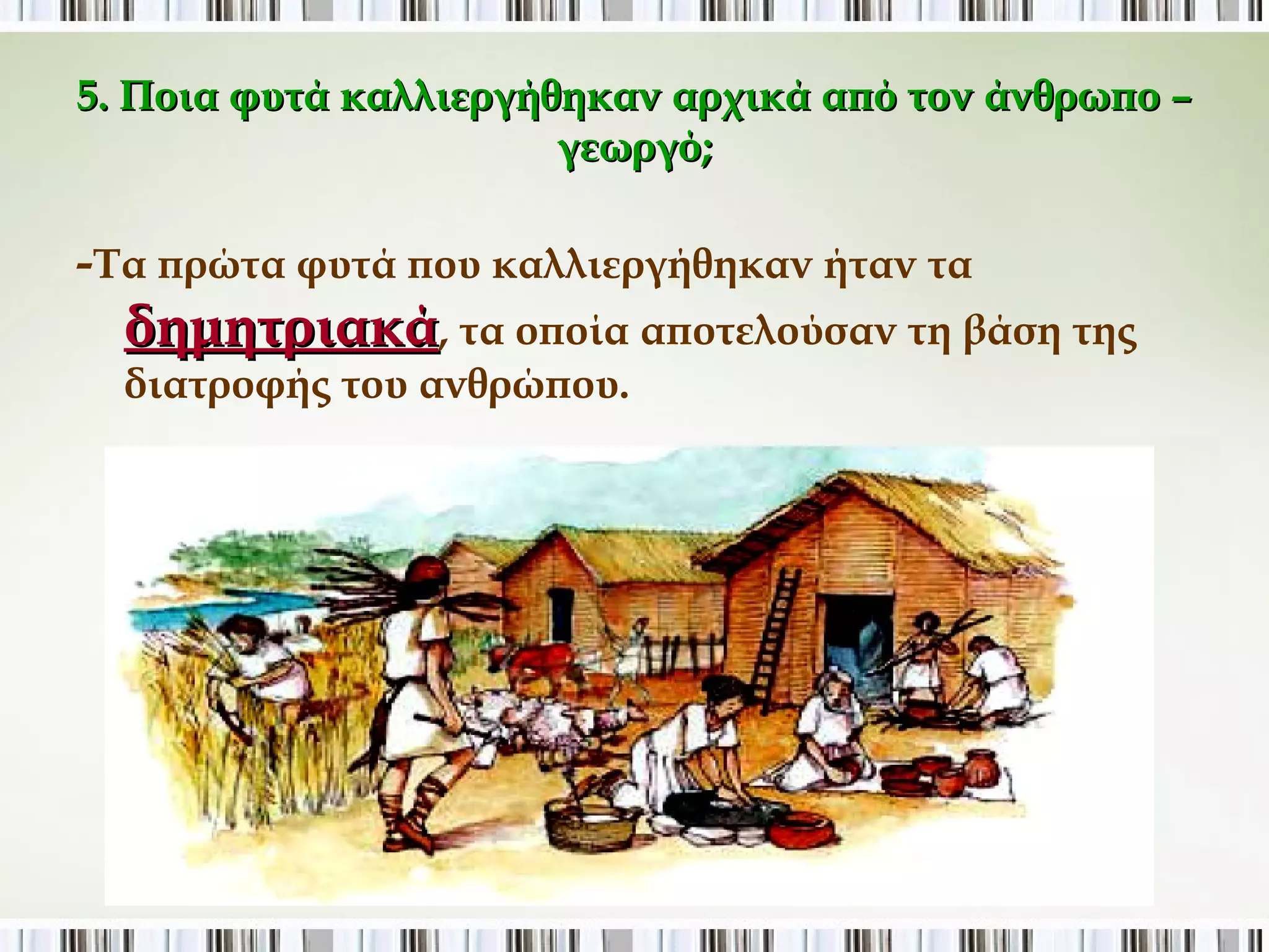 5. Ποια φυτά καλλιεργήθηκαν αρχικά από τον άνθρωπο 
– γεωργό; 
-Τα πρώτα φυτά που καλλιεργήθηκαν ήταν τα 
δημητριακά, τα οποία αποτελούσαν τη βάση της 
διατροφής του ανθρώπου. 
 