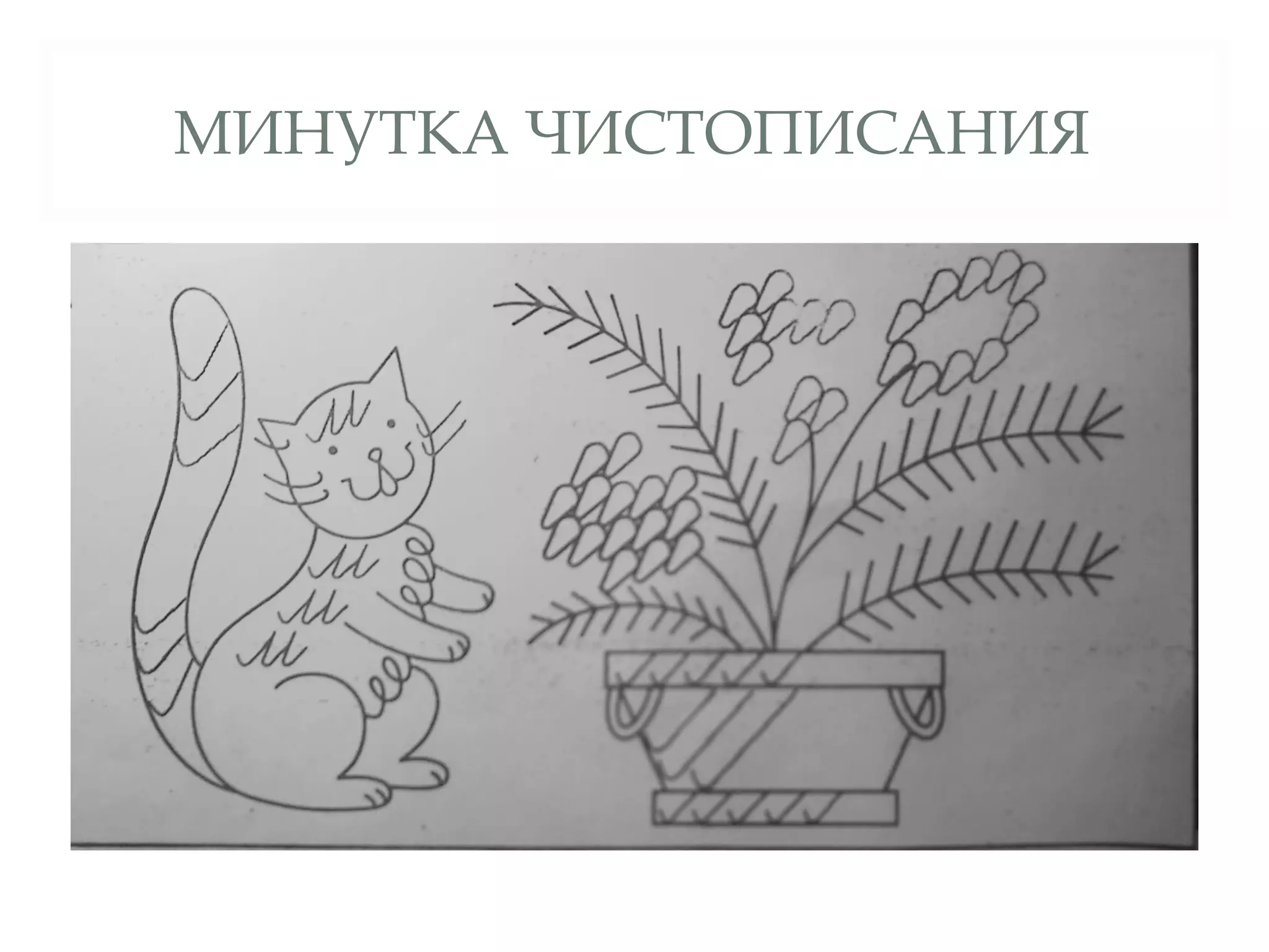 МИНУТКА ЧИСТОПИСАНИЯ
 