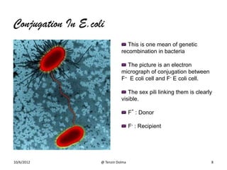 E coli | PPT