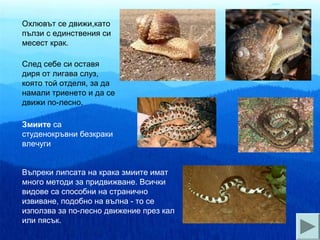 Охлювът се движи,като
пълзи с единствения си
месест крак.

След себе си оставя
диря от лигава слуз,
която той отделя, за да
намали триенето и да се
движи по-лесно.

Змиите са
студенокръвни безкраки
влечуги


Въпреки липсата на крака змиите имат
много методи за придвижване. Всички
видове са способни на странично
извиване, подобно на вълна - то се
използва за по-лесно движение през кал
или пясък.
 