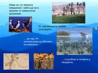 Няма кът от земната
повърхност, който да не е
заселен от животински
организми.




                        От най-високите слоеве
                        на въздуха…


            … до над 10-
            километрови дълбочини
            на океаните…




                                          … и дълбоко в почвата и
                                          пещерите.
 