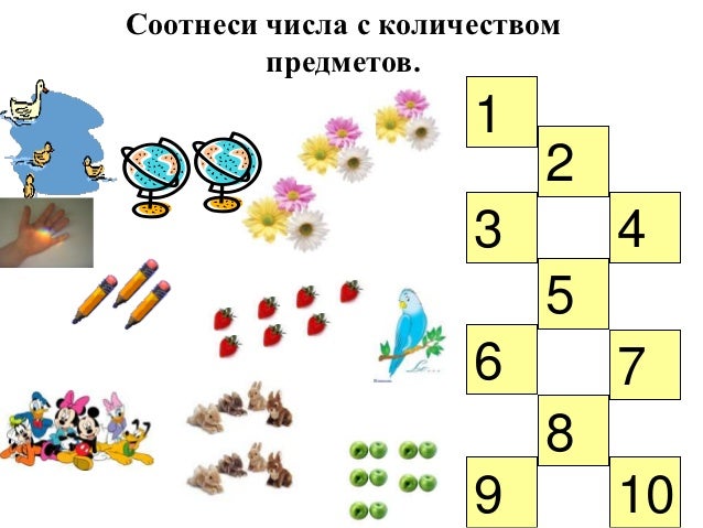 Соотнеси Число С Количеством Предметов Картинки