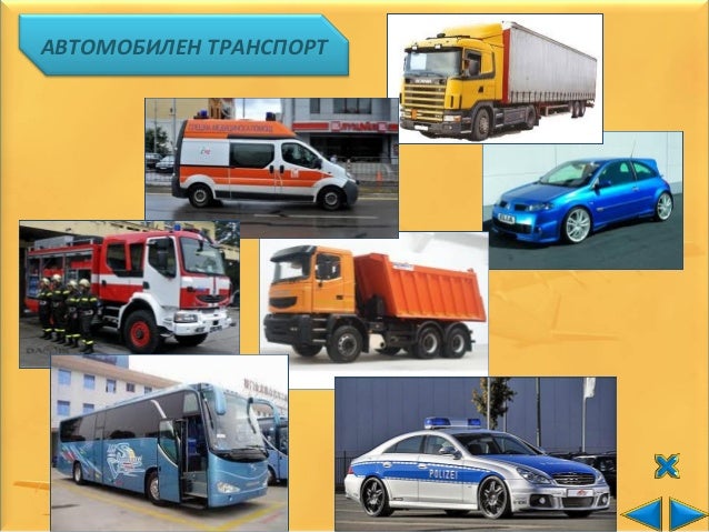Тип транспорта по птс